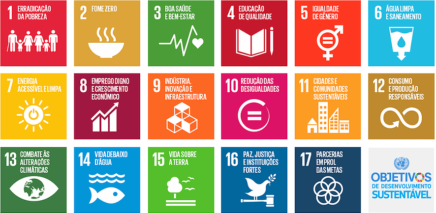 Conheça os 17 objetivos do desenvolvimento sustentável